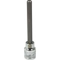 Dynamic Tools 3/8" Drive SAE Hex Head, 1/4" Long Bit, Chrome Finish Socket D006458